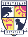 J.FC Miyazaki