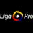 Liga Pro Serie B