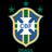 CBF Brasileiro U20