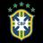 Copa Grão Pará