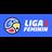 Liga 1 Feminin