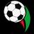 Hazfi Cup
