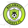 Bulawayo Chiefs