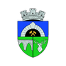 Anenii Noi