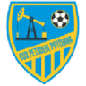 Petrolul Potcoava