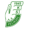 Pelikan Łowicz