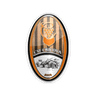 CSF Cricova
