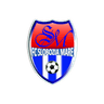 Slobozia Mare