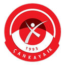 Çankaya FK