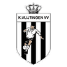 Vlijtingen