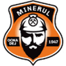 Minerul Ocna Dej