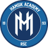 Hamsik Academy
