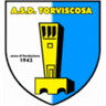 Torviscosa