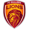 Bulleen Lions
