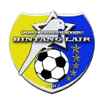 Bintang Lair