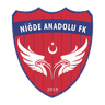 Niğde Anadolu
