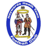 Haywards Heath Town
