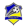 Ngozi City