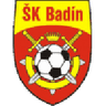 Badín
