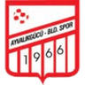 Ayvalıkgücü Belediyespor