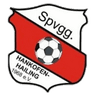 SpVgg Hankofen-Hailing