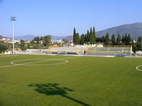 Gipedo Arkadia Astros