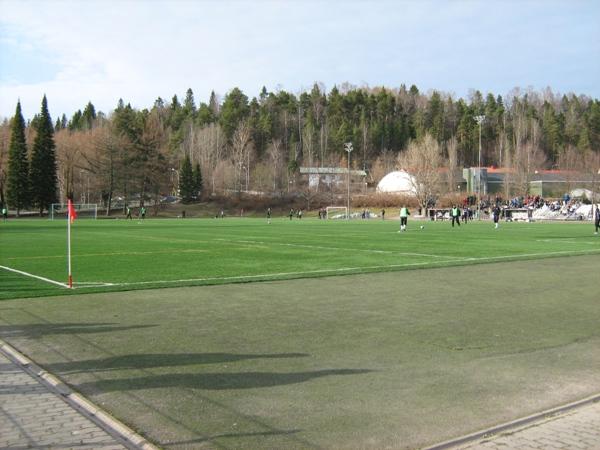 Kisapuiston tekonurmi