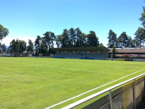 Waldstadion Hard