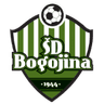 Bogojina