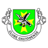 Gavionenses