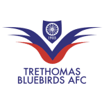 Trethomas Bluebirds