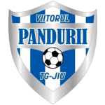 Viitorul Târgu Jiu II