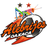 Alebrijes de Oaxaca II