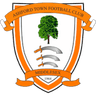 Ashford Town (Middx)