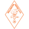 Wellington United