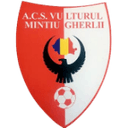 Vulturul Mintiu Gherlii