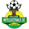 Soccer Intellectuals