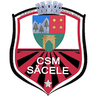 Săcele