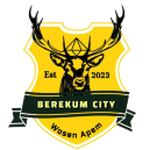 Berekum City