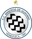 Mineros de Guyana