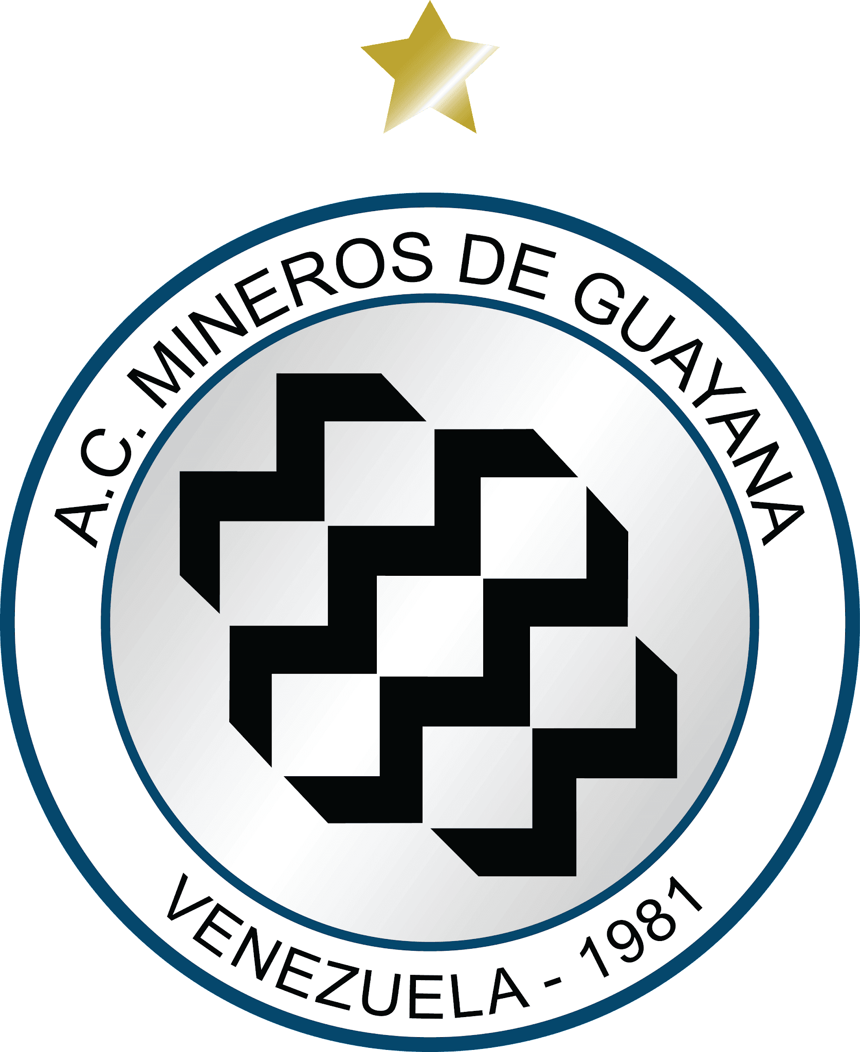 Mineros de Guyana