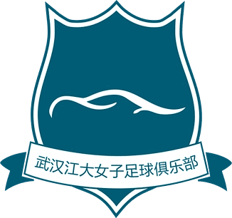 Wuhan Jiangda W