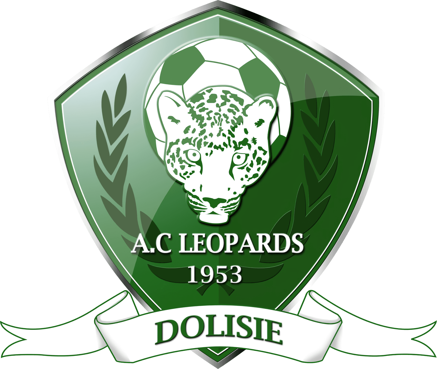 Léopards de Dolisié