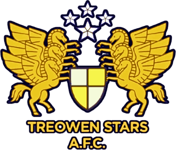 Treowen Stars