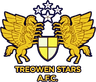 Treowen Stars