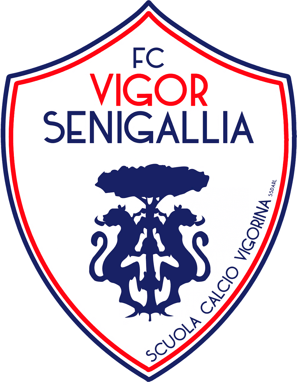 Vigor Senigallia