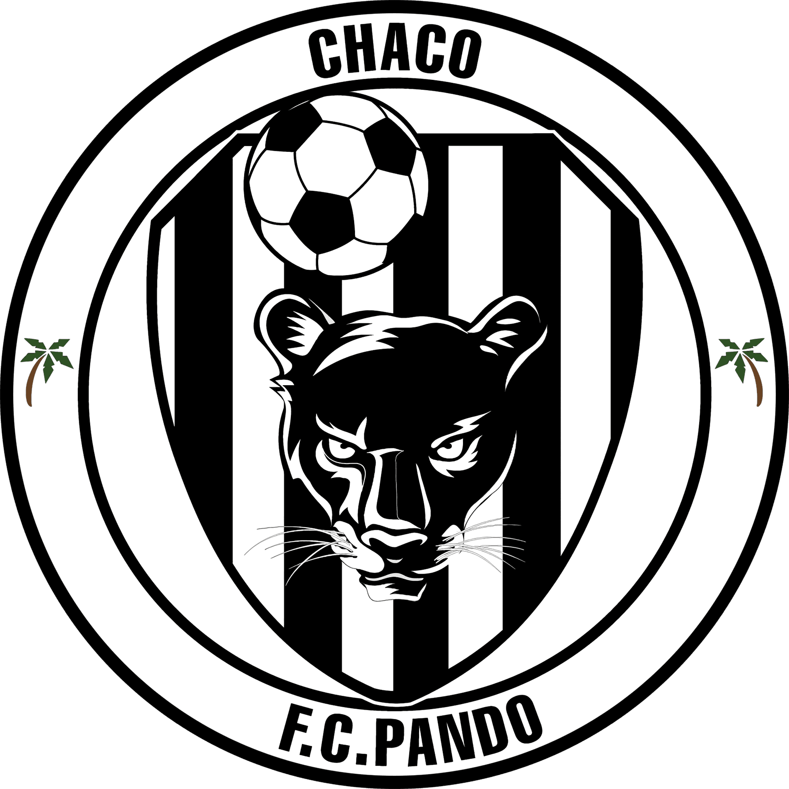 Chaco Pando