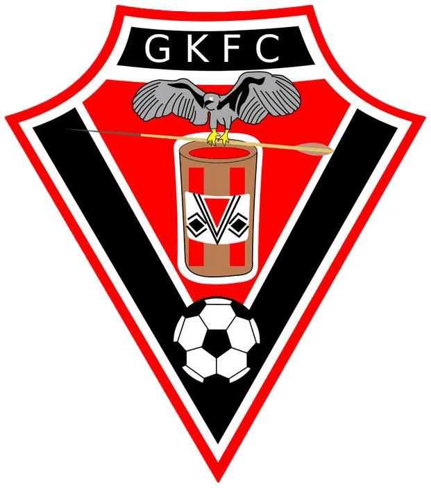 Gavião