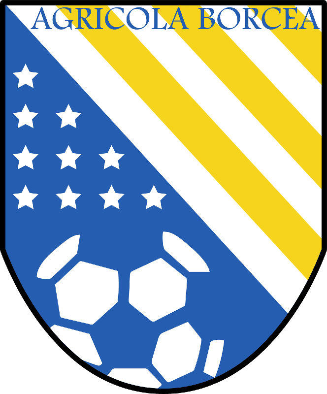 Agricola Borcea