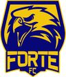 Forte FC